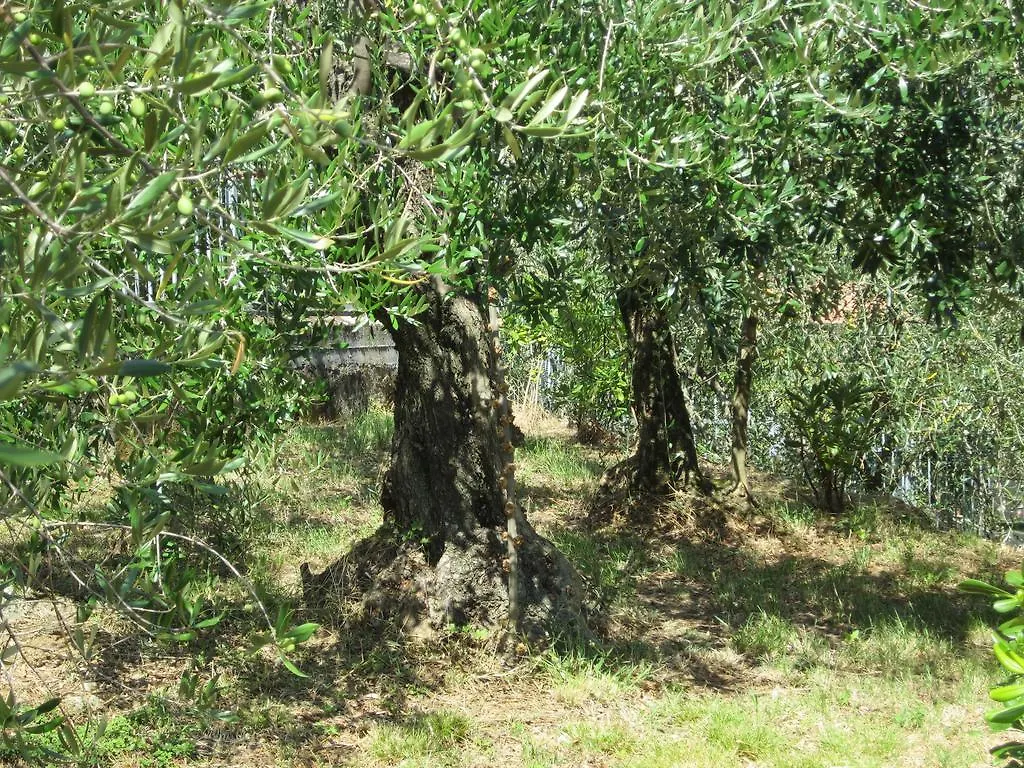 Bed & Breakfast B&B Mare e Monti La Spezia